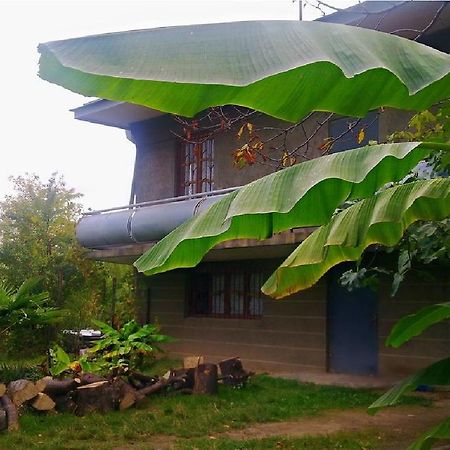 Дом для отпуска Farmer's Guest House Телави Экстерьер фото